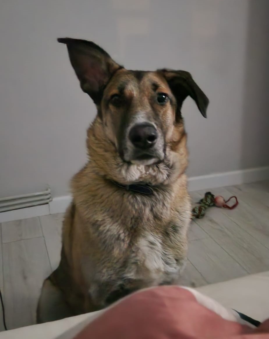 Charlie