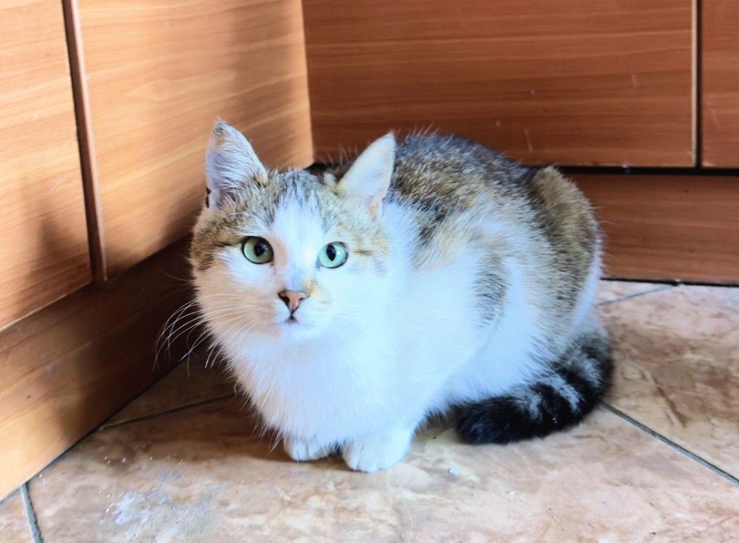 Fiona
