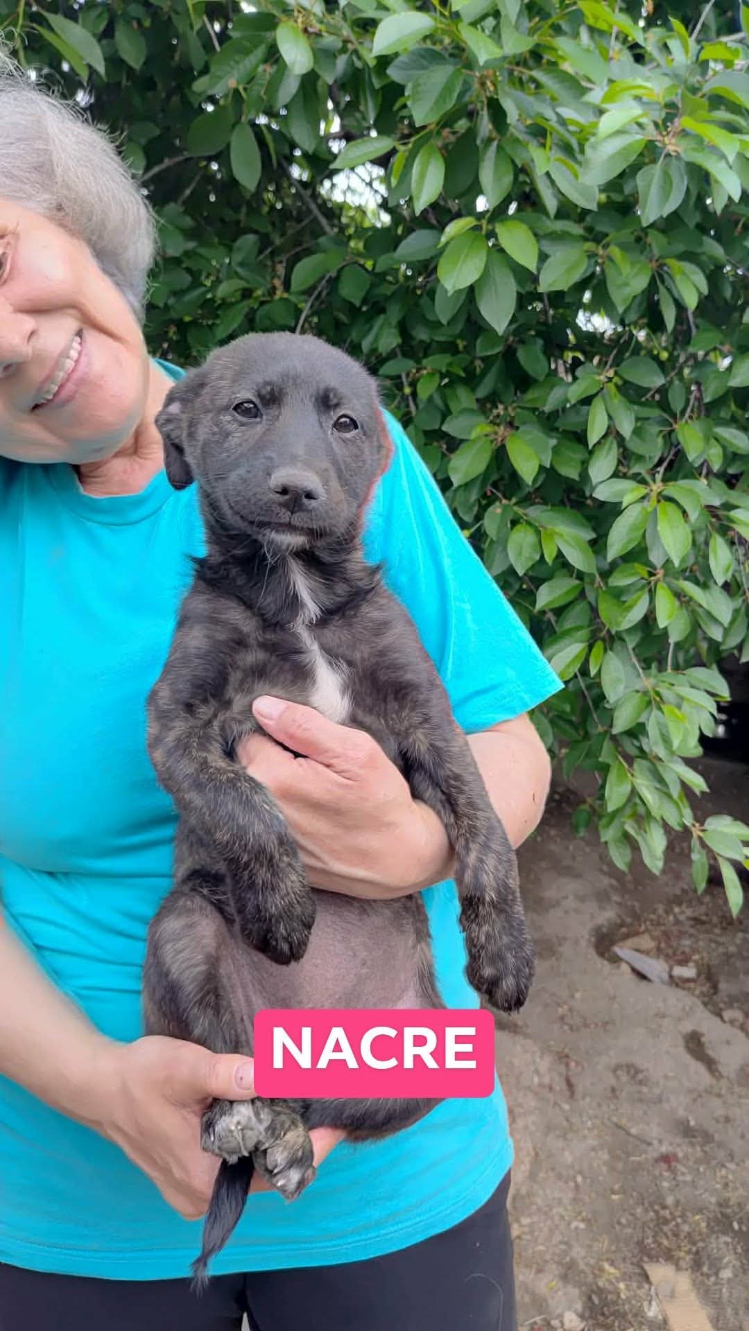 Nacre