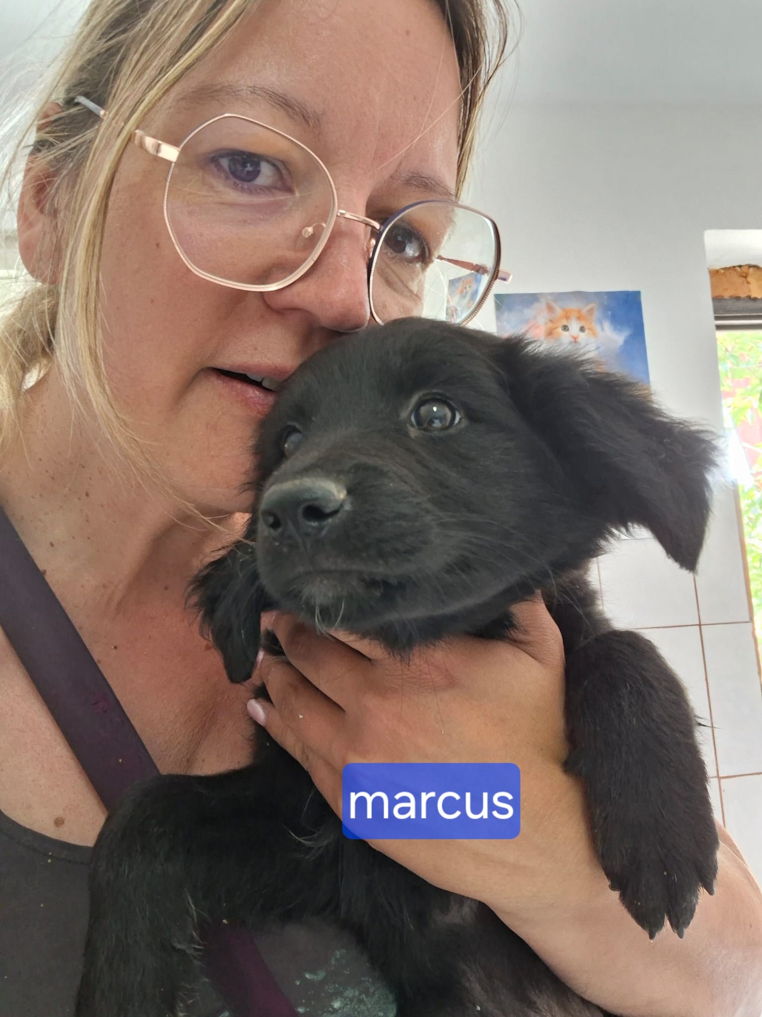 Marcus