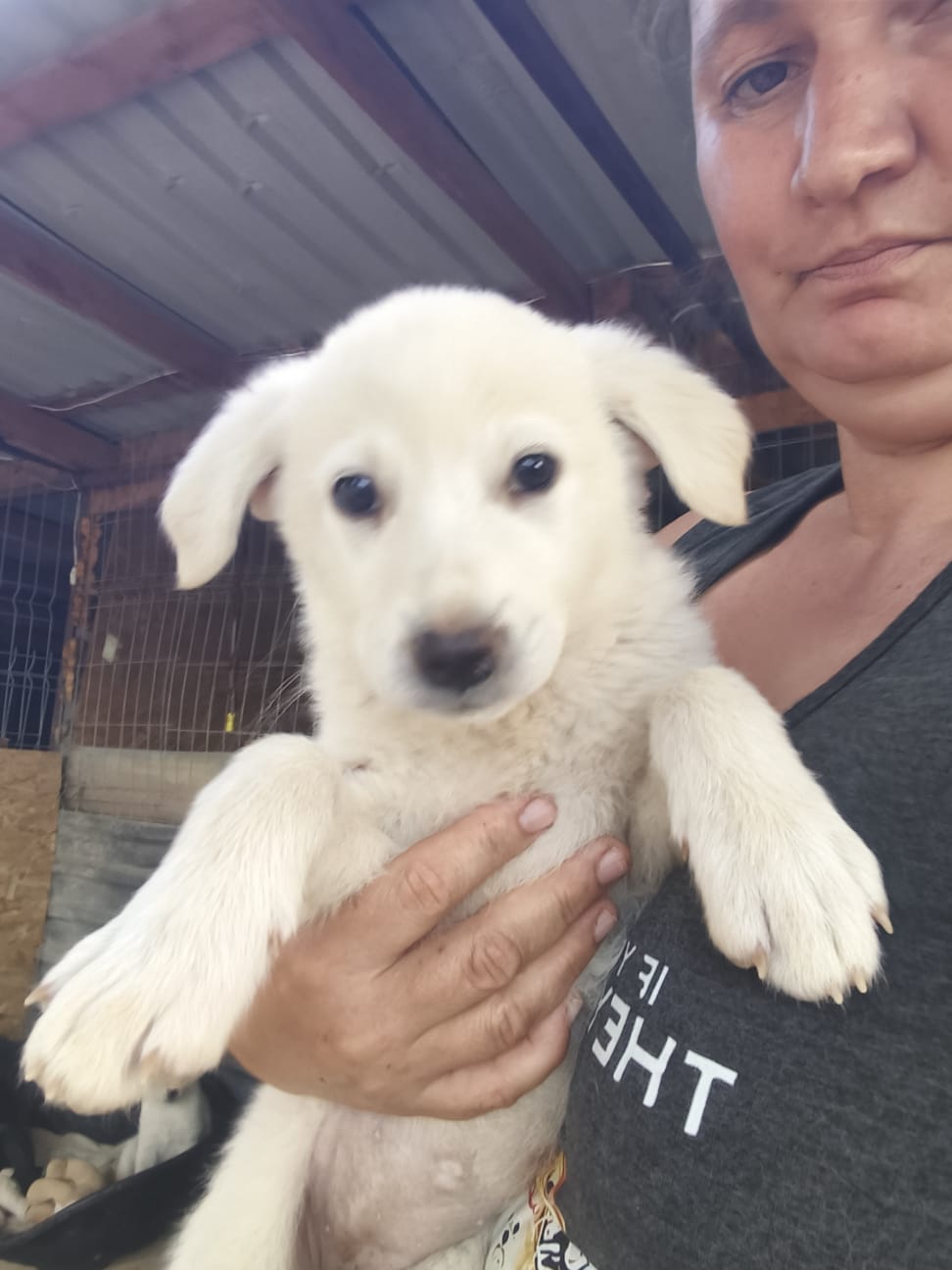 Silvia est adoptée ❤️