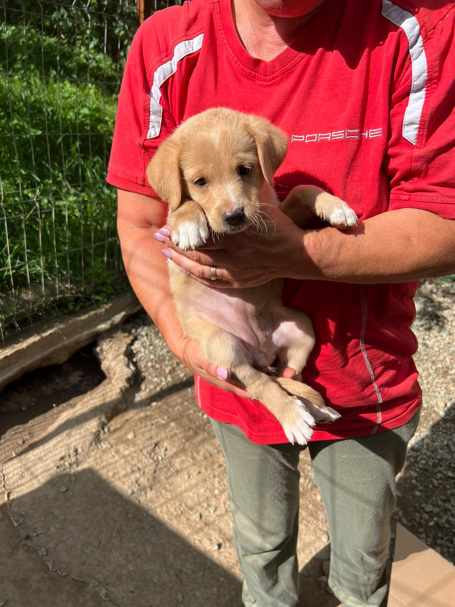 Valia est adoptée ❤️
