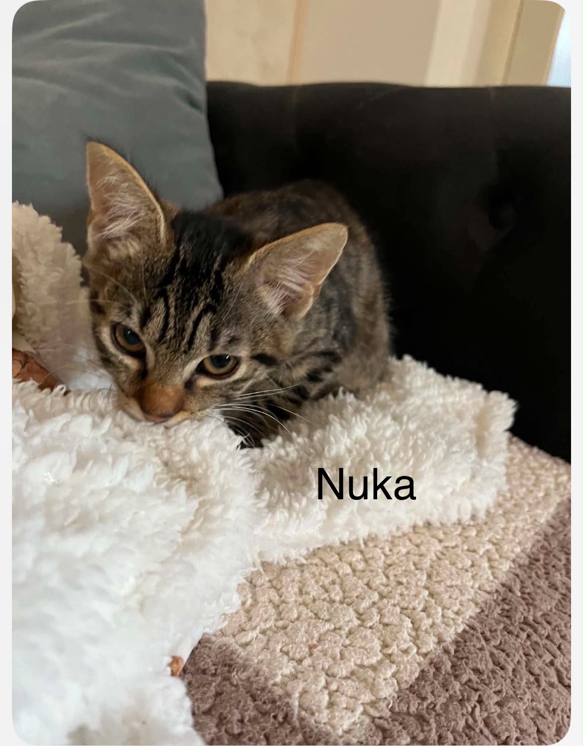 Aluna et Nuka