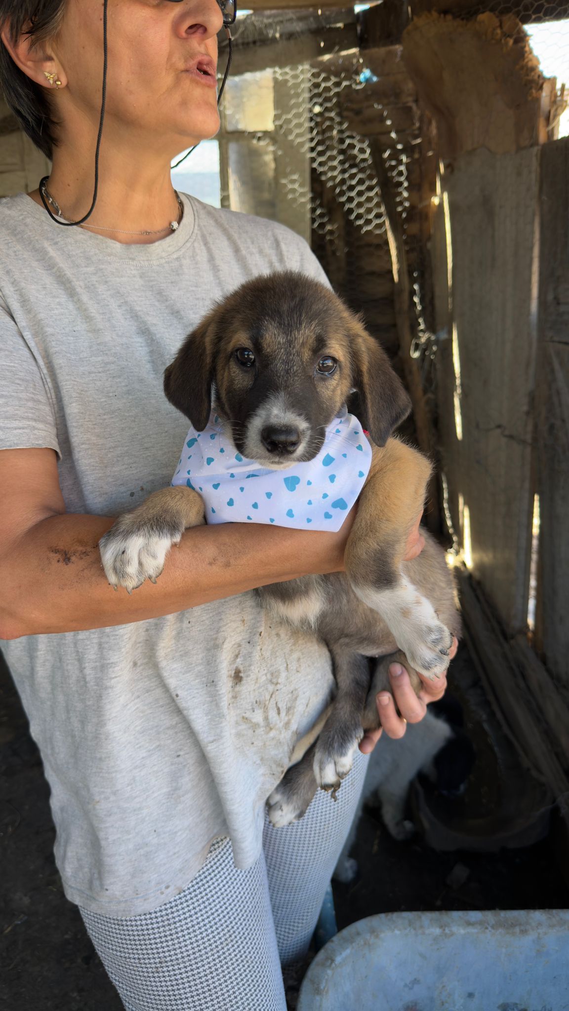 Scarlett est adoptée ♥️